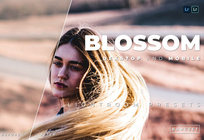 20 پریست لایت روم پرتره حرفه ای دسکتاپ و موبایل Blossom Lightroom Preset