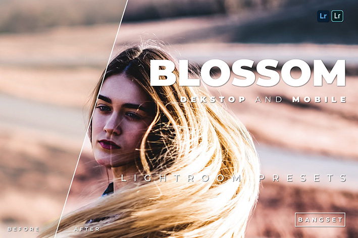 20 پریست لایت روم پرتره حرفه ای دسکتاپ و موبایل Blossom Lightroom Preset 20 پریست لایت روم پرتره حرفه ای دسکتاپ و موبایل Blossom Lightroom Preset