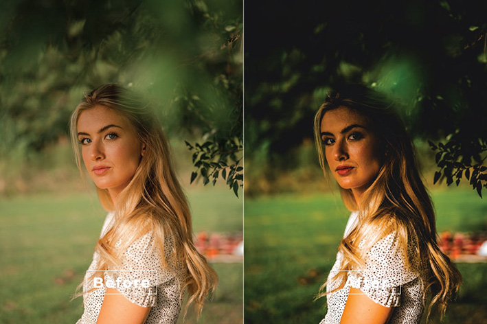 20 پریست لایت روم پرتره حرفه ای دسکتاپ و موبایل Blossom Lightroom Preset 20 پریست لایت روم پرتره حرفه ای دسکتاپ و موبایل Blossom Lightroom Preset