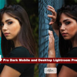 24 پریست لایت روم پرتره تم تیره Pro Dark Lightroom Presets