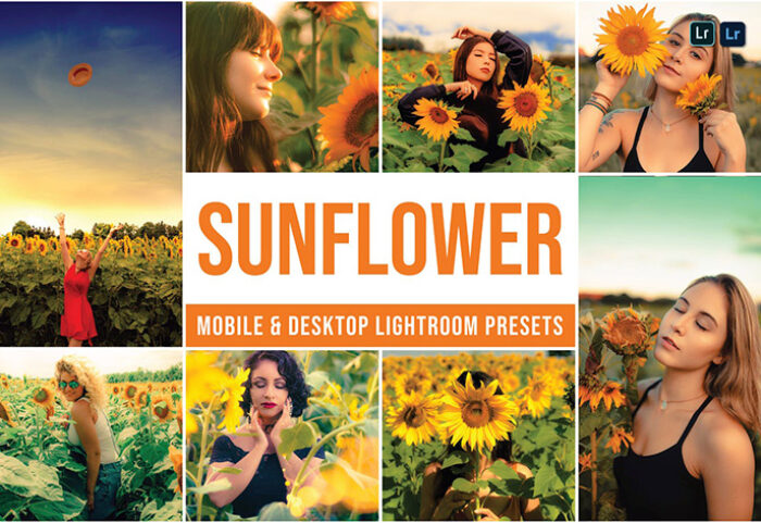 30 پریست رنگی لایت روم تم گل آفتابگردان Sunflower Lightroom Presets