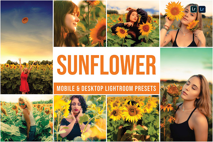 30 پریست رنگی لایت روم تم گل آفتابگردان Sunflower Lightroom Presets 30 پریست رنگی لایت روم تم گل آفتابگردان Sunflower Lightroom Presets