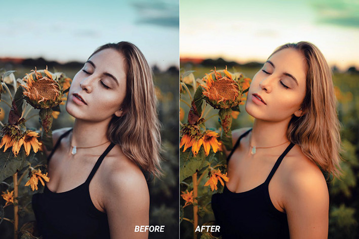 30 پریست رنگی لایت روم تم گل آفتابگردان Sunflower Lightroom Presets 30 پریست رنگی لایت روم تم گل آفتابگردان Sunflower Lightroom Presets
