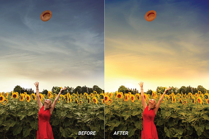 30 پریست رنگی لایت روم تم گل آفتابگردان Sunflower Lightroom Presets 30 پریست رنگی لایت روم تم گل آفتابگردان Sunflower Lightroom Presets