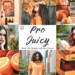 30 پریست لایت روم پرتره و پریست کمراراو تم شاد Pro Juicy Lightroom Presets