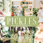 40 پریست لایت روم و پریست کمرا راو و اکشن فتوشاپ Pickles Lightroom Presets