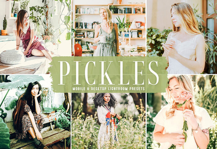 40 پریست لایت روم و پریست کمرا راو و اکشن فتوشاپ Pickles Lightroom Presets