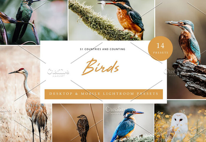 42 پریست لایت روم حرفه ای پرندگان و حیوانات Birds Lightroom Presets