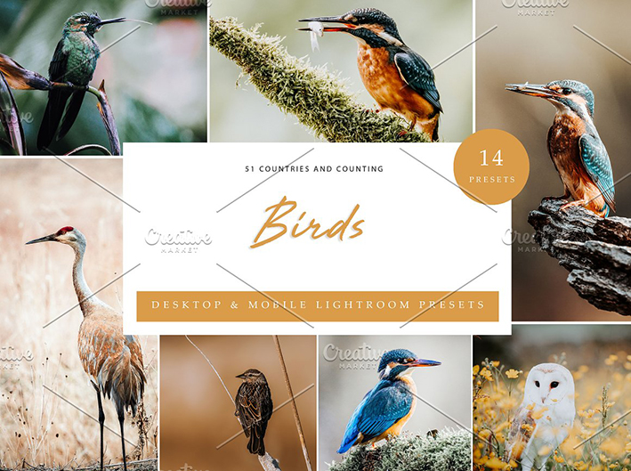 42 پریست لایت روم حرفه ای پرندگان و حیوانات Birds Lightroom Presets 42 پریست لایت روم حرفه ای پرندگان و حیوانات Birds Lightroom Presets
