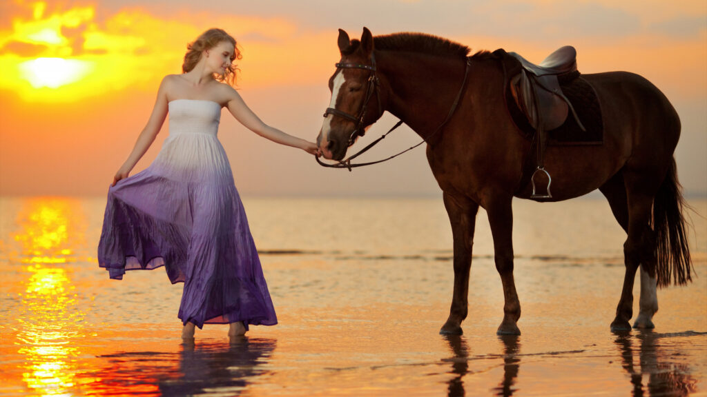 45 پریست لایت روم حرفه ای و پریست کمراراو Neo Malibu Lightroom Presets 45 پریست لایت روم حرفه ای و پریست کمراراو Neo Malibu Lightroom Presets