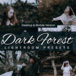 80 پریست لایت روم و کمرا راو و اکشن فتوشاپ و لات رنگی Dark Forest Lightroom Presets
