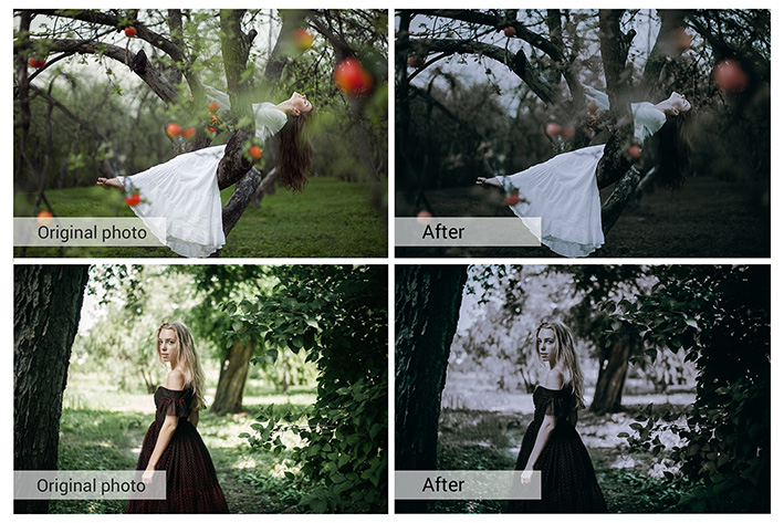 80 پریست لایت روم و کمرا راو و اکشن فتوشاپ و لات رنگی Dark Forest Lightroom Presets 80 پریست لایت روم و کمرا راو و اکشن فتوشاپ و لات رنگی Dark Forest Lightroom Presets