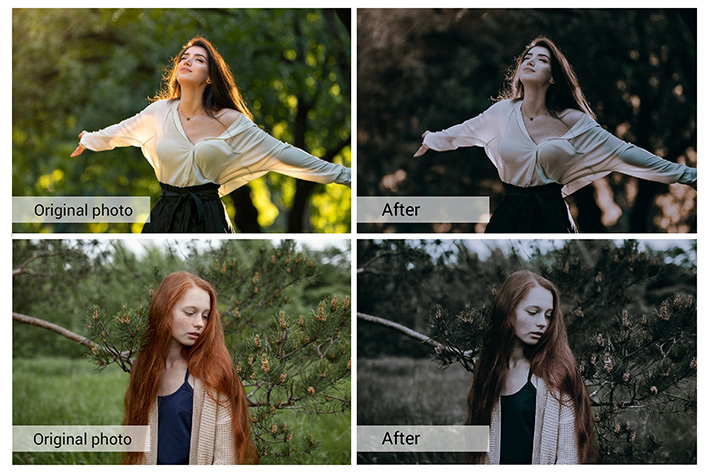80 پریست لایت روم و کمرا راو و اکشن فتوشاپ و لات رنگی Dark Forest Lightroom Presets 80 پریست لایت روم و کمرا راو و اکشن فتوشاپ و لات رنگی Dark Forest Lightroom Presets