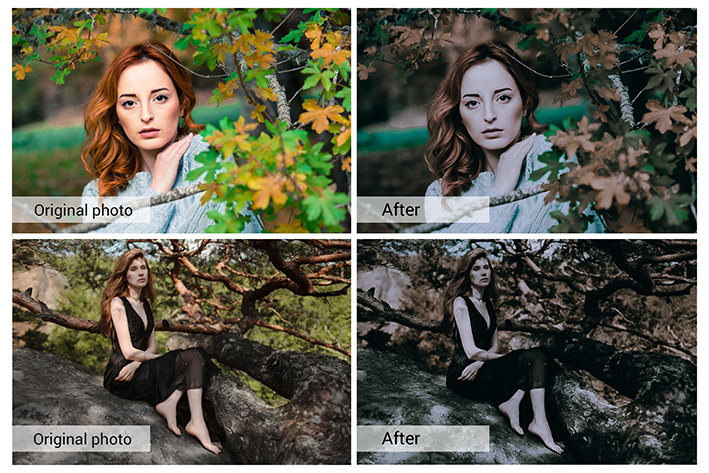 80 پریست لایت روم و کمرا راو و اکشن فتوشاپ و لات رنگی Dark Forest Lightroom Presets 80 پریست لایت روم و کمرا راو و اکشن فتوشاپ و لات رنگی Dark Forest Lightroom Presets