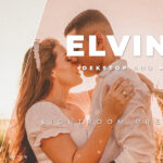 دانلود 20 پریست رنگی حرفه ای لایت روم Elvina Lightroom Preset