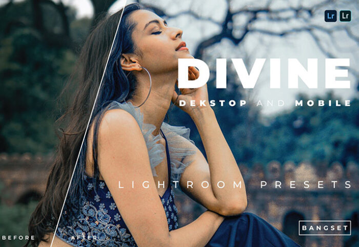 پریست لایت روم سینمایی حرفه ای 20 تایی Divine Lightroom Preset