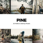 پریست لایت روم سینمایی و پریست کمرا راو فتوشاپ و لات رنگی Pine Lightroom Presets & LUTs