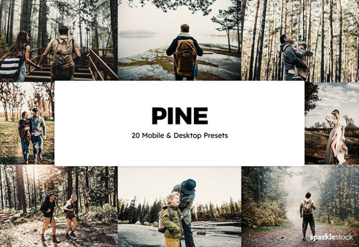 پریست لایت روم سینمایی و پریست کمرا راو فتوشاپ و لات رنگی Pine Lightroom Presets & LUTs
