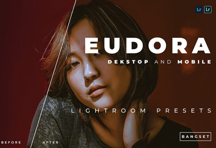 پریست لایت روم پرتره 20 تایی تم تیره Eudora Lightroom Preset