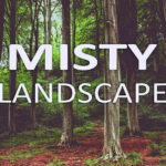 10 پریست لایت روم طبیعت تم مه آلود Misty Landscape Lightroom Presets