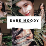 10 پریست لایت روم پرتره حرفه ای Dark Moody Lightroom Presets