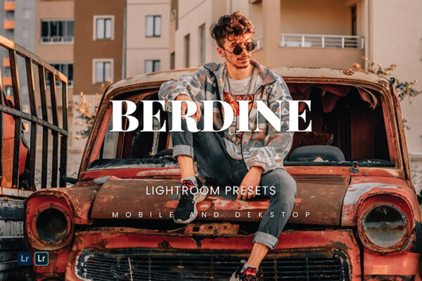 20 پریست لایت روم حرفه ای 2021 دسکتاپ و موبایل Berdine Lightroom Presets