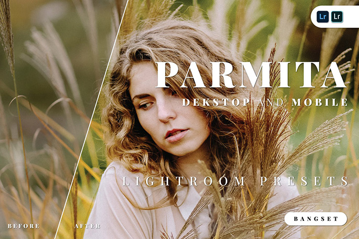 20 پریست لایت روم حرفه ای 2021 دسکتاپ و موبایل Parmita Lightroom Preset 20 پریست لایت روم حرفه ای 2021 دسکتاپ و موبایل Parmita Lightroom Preset