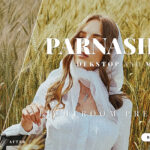 20 پریست لایت روم حرفه ای 2021 دسکتاپ و موبایل Parnashri Lightroom Preset