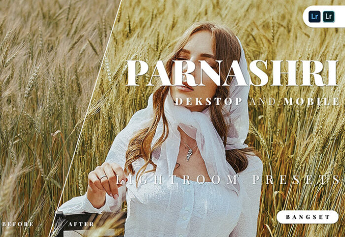 20 پریست لایت روم حرفه ای 2021 دسکتاپ و موبایل Parnashri Lightroom Preset