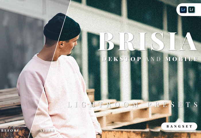 20 پریست لایت روم حرفه ای پرتره دسکتاپ و موبایل Brisia Lightroom Preset