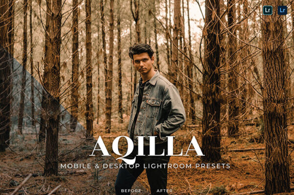 20 پریست لایت روم رنگی تناژ قهوه ای Aqilla Lightroom Presets