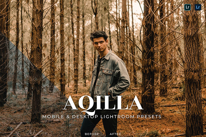 20 پریست لایت روم رنگی تناژ قهوه ای Aqilla Lightroom Presets 20 پریست لایت روم رنگی تناژ قهوه ای Aqilla Lightroom Presets