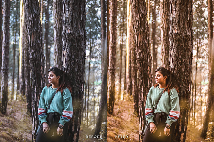20 پریست لایت روم رنگی تناژ قهوه ای Aqilla Lightroom Presets 20 پریست لایت روم رنگی تناژ قهوه ای Aqilla Lightroom Presets