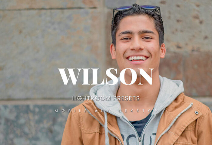 20 پریست لایت روم رنگی حرفه ای پرتره Wilson Lightroom Presets