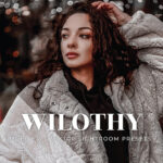 20 پریست لایت روم پرتره فوق حرفه ای Wilothy Lightroom Presets