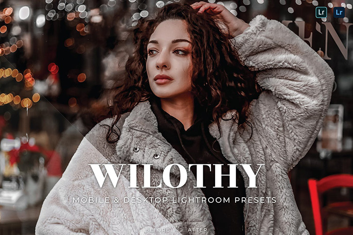 20 پریست لایت روم پرتره فوق حرفه ای Wilothy Lightroom Presets 20 پریست لایت روم پرتره فوق حرفه ای Wilothy Lightroom Presets