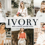 40 پریست لایت روم و کمرا راو و اکشن فتوشاپ Ivory Lightroom Presets