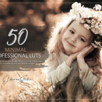 150 پریست لایت روم حرفه ای و LUTs رنگی Minimal LUTs and Presets Pack