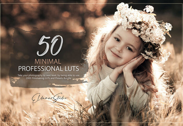 150 پریست لایت روم حرفه ای و LUTs رنگی Minimal LUTs and Presets Pack
