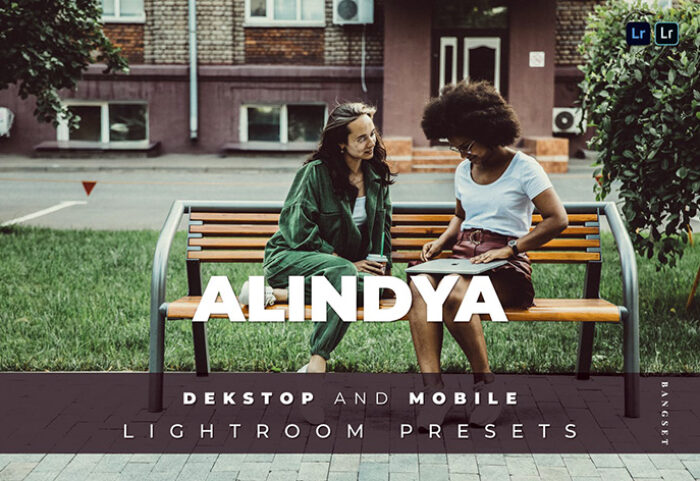 20 افکت رنگی لایت روم دسکتاپ و موبایل Alindya Lightroom Preset