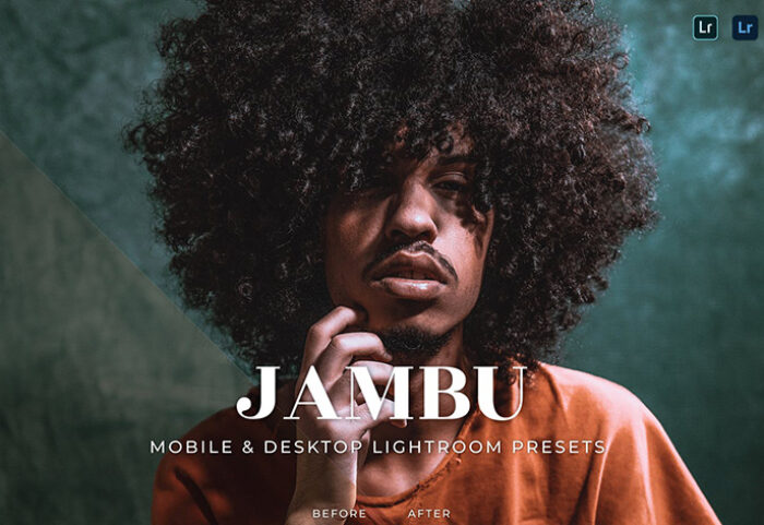 20 پریست لایت روم تم استایل زندگی Jambu Lightroom Presets