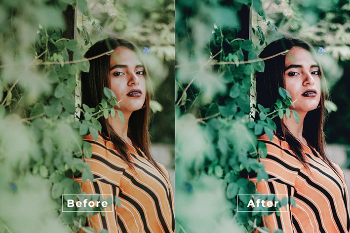 20 پریست لایت روم حرفه ای ادیت عکس Asyka Lightroom Preset 20 پریست لایت روم حرفه ای ادیت عکس Asyka Lightroom Preset
