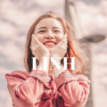 20 پریست لایت روم حرفه ای عکاسی Linh Lightroom Presets