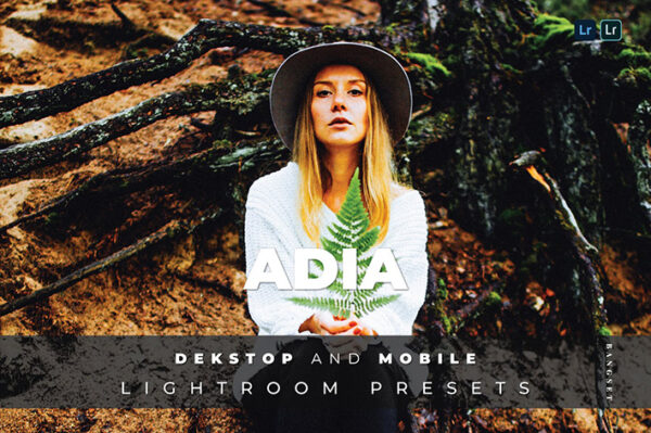 20 پریست لایت روم رنگی تم تناژ سینماتیک Adia Lightroom Preset