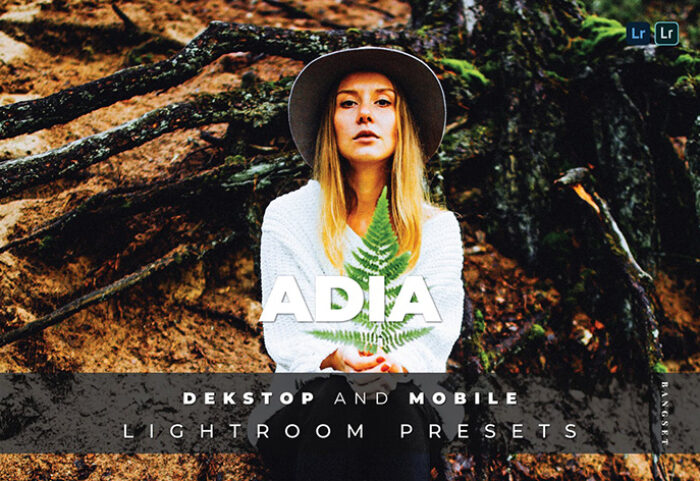 20 پریست لایت روم رنگی تم تناژ سینماتیک Adia Lightroom Preset