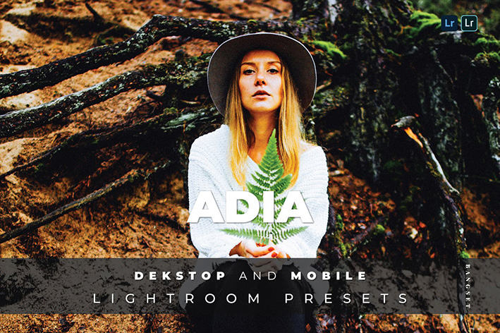 20 پریست لایت روم رنگی تم تناژ سینماتیک Adia Lightroom Preset 20 پریست لایت روم رنگی تم تناژ سینماتیک Adia Lightroom Preset