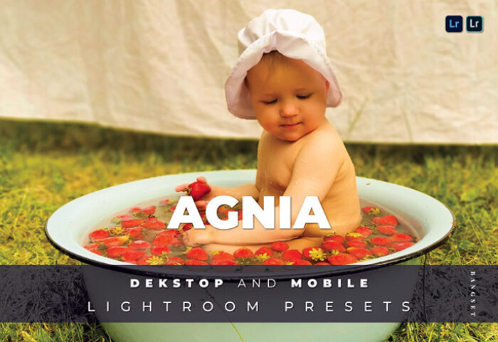 20 پریست لایت روم رنگی تم زرد Agnia Lightroom Preset