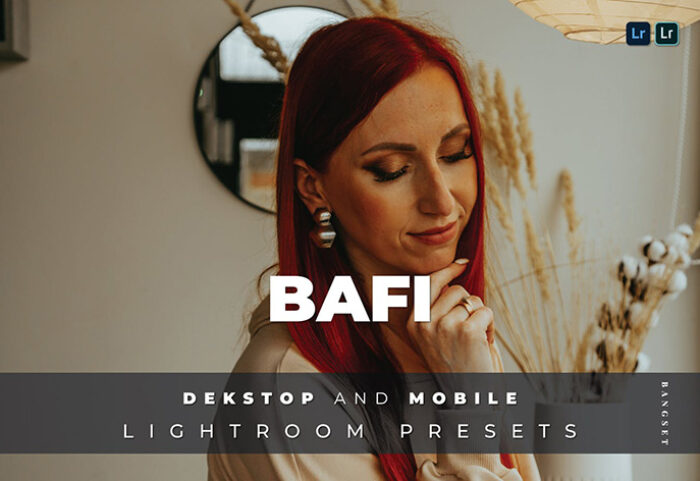 20 پریست لایت روم رنگی تم پرتره Bafi Lightroom Preset