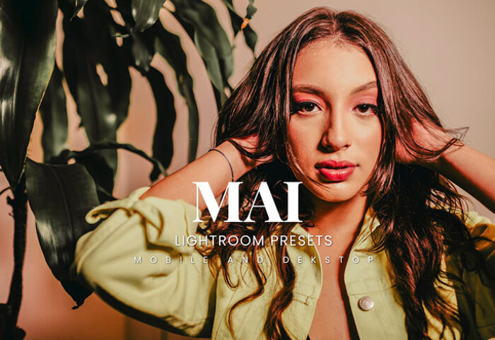 20 پریست لایت روم رنگی حرفه ای Mai Lightroom Presets