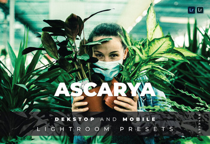 20 پریست لایت روم رنگی عکس پرتره Ascarya Lightroom Preset